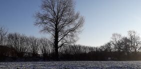 Knick in Schleswig-Holstein und Schneee