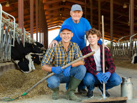 Milk farm workers in cowhouse