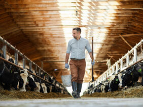 Worker of livestock farm