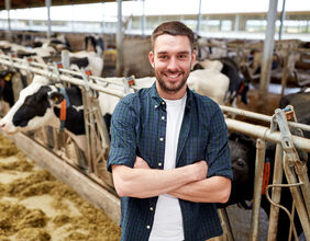 man or farmer with cows in cowshed on dairy farm