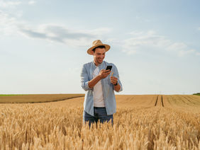 Farmer using mobile phone   in wheat field