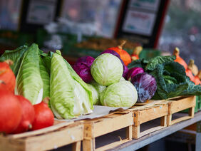 Ripe pumpkins and cabbage on farmer agricultural market