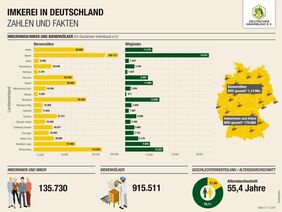 Honigbienenhaltung nach wie vor beliebt